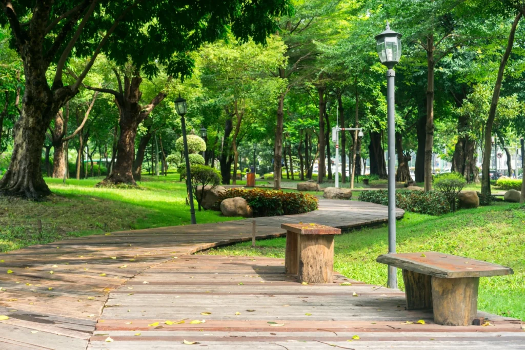 Quais motivos fazem o clima de Sinop ser como é